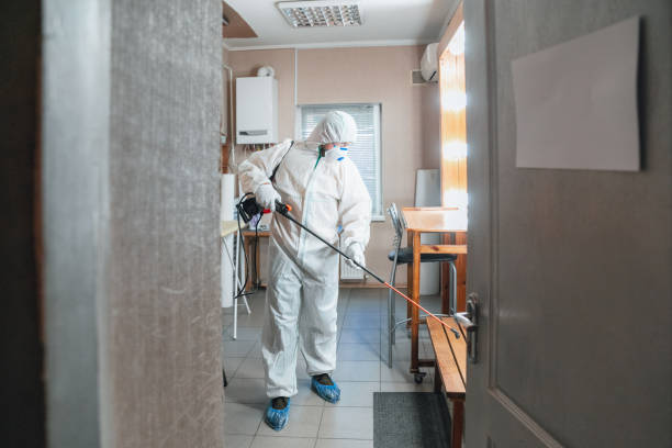 Why You Should Choose Our Mold Remediation Services in Indianola, WA